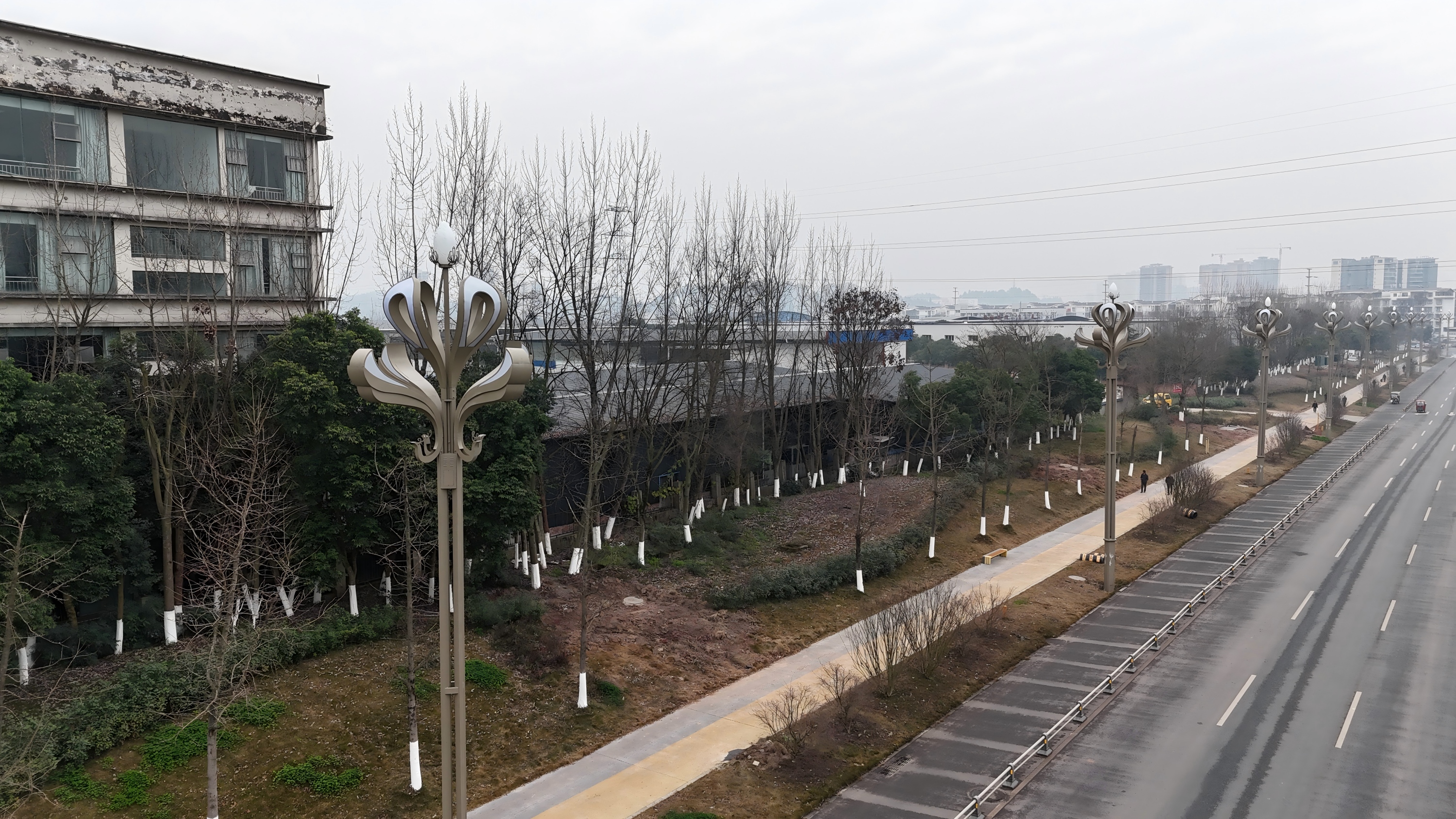 安居大道新增79盏路灯，预计春节前点亮！